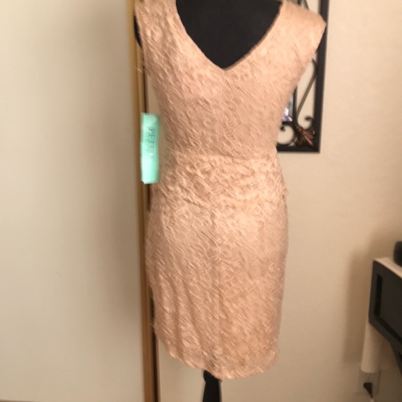 NWT Candlite Petite Lace Peplum Dress - Picture 2 of 2